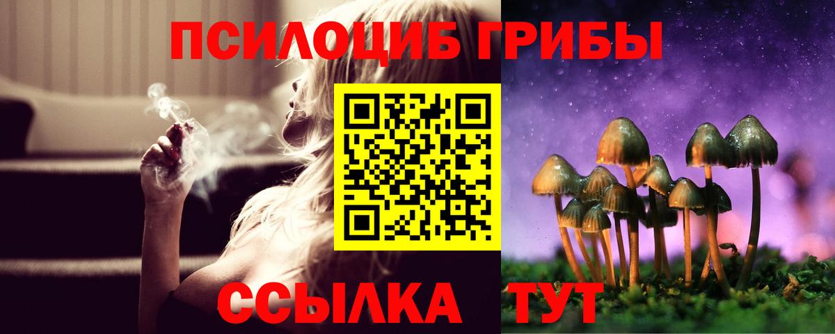 Галлюциногенные грибы Magic Shrooms  Псилоцибиновые грибы мицелий  Сланцы  Вход с VPN 
